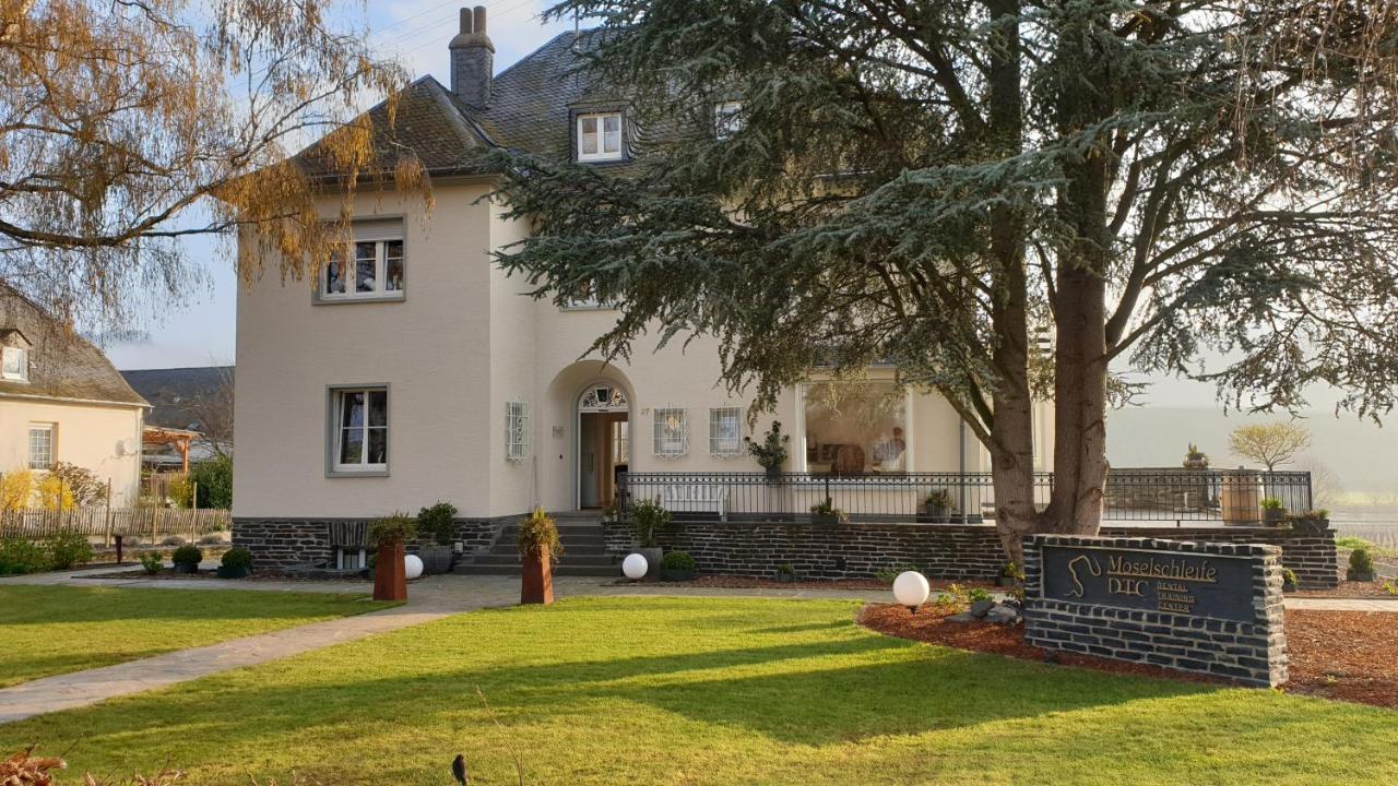 "Reh"-Sidenz Moselschleife Appartement Leiwen Buitenkant foto